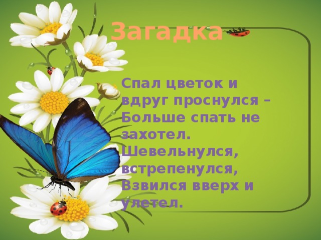 Спал цветок и вдруг проснулся. Бабочки для начальной школы. Физминутка спал цветок и вдруг проснулся. Спал цветок и вдруг проснулся больше спать не захотел.