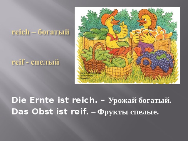 Die Ernte ist reich. – Урожай богатый. Das Obst ist reif. – Фрукты спелые. 