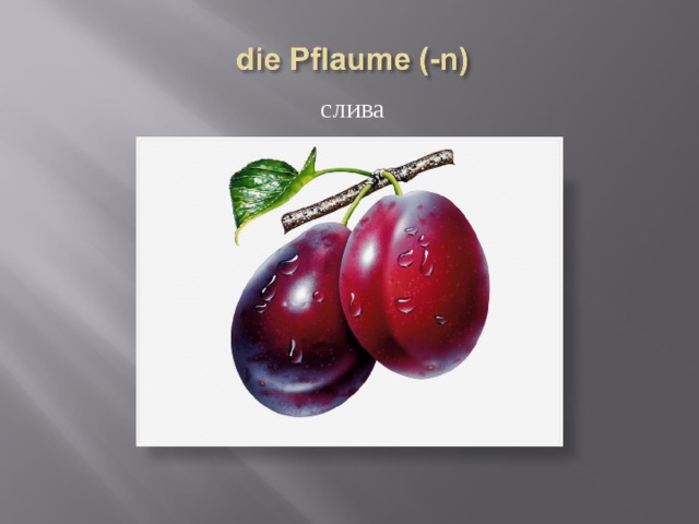  слива 