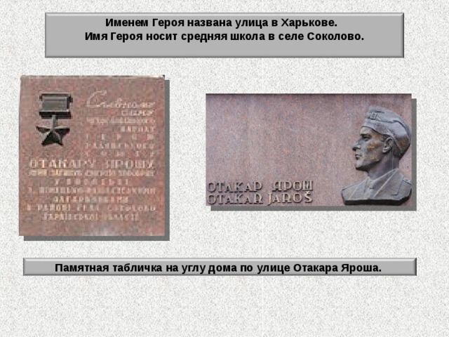 Именем Героя названа улица в Харькове.    Имя Героя носит средняя школа в селе Соколово.  Памятная табличка на углу дома по улице Отакара Яроша. 
