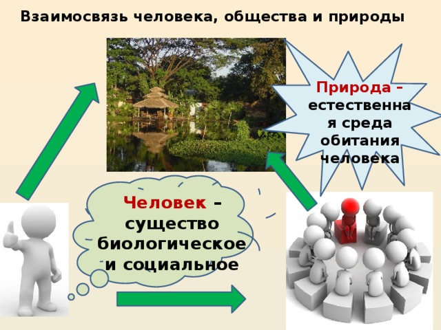 План природное и общественное в человеке обществознание