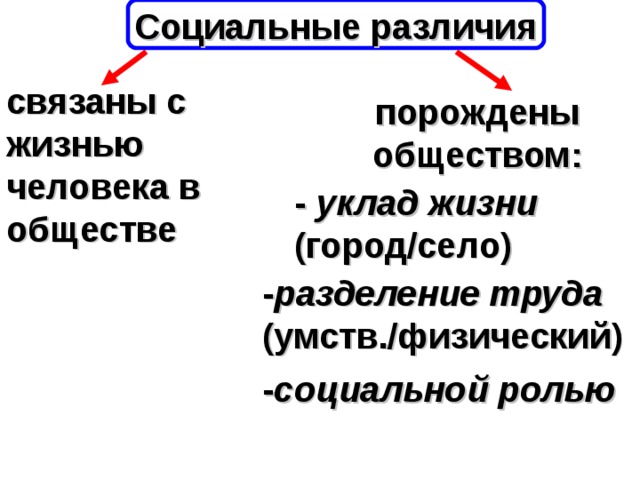 Социальные отличия человека