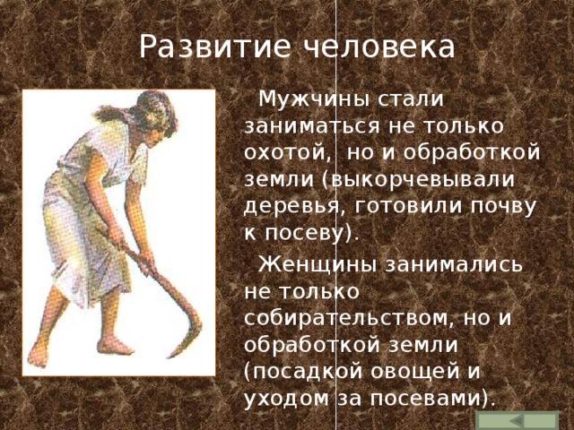  Развитие человека  Мужчины стали заниматься не только охотой, но и обработкой земли (выкорчевывали деревья, готовили почву к посеву).  Женщины занимались не только собирательством, но и обработкой земли (посадкой овощей и уходом за посевами). 