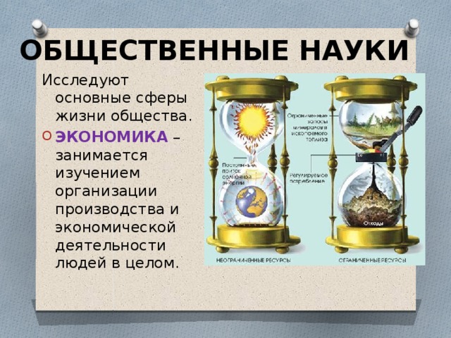ОБЩЕСТВЕННЫЕ НАУКИ Исследуют основные сферы жизни общества. ЭКОНОМИКА –занимается изучением организации производства и экономической деятельности людей в целом. 