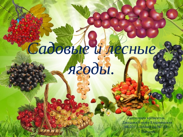 Садовые и лесные ягоды. Подготовила воспитатель : Давыдова Наталья Владимировна МБДОУ «Детский сад №2 КВ» г. Пикалево . 