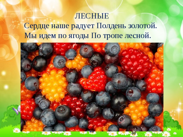 ЛЕСНЫЕ Сердце наше радует Полдень золотой. Мы идем по ягоды По тропе лесной. 