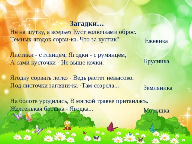 Загадки… Не на шутку, а всерьез Куст колючками оброс. Темных ягодок сорви-ка. Что за кустик? Листики - с глянцем, Ягодки - с румянцем, А сами кусточки - Не выше кочки. Ягодку сорвать легко - Ведь растет невысоко. Под листочки загляни-ка -Там созрела... На болоте уродилась, В мягкой травке притаилась. Желтенькая брошка - Ягодка... Ежевика Брусника Земляника Морошка 