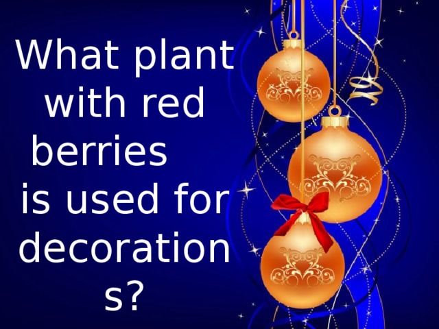 What plant with red berries is used for decorations?  