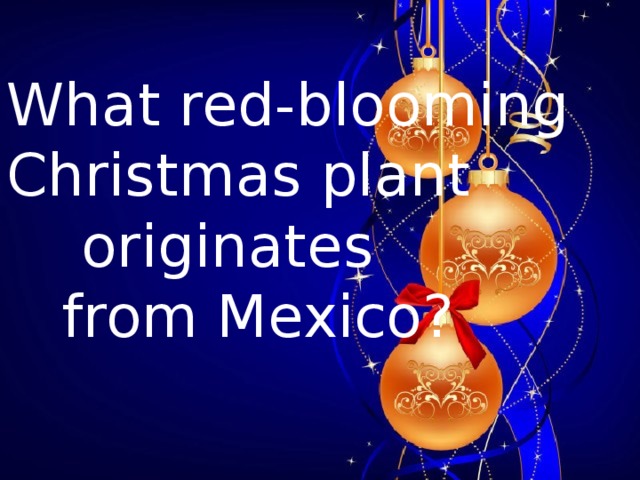 What red-blooming Christmas plant  originates  from Mexico?  
