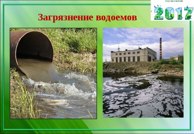 Загрязнение водоемов 