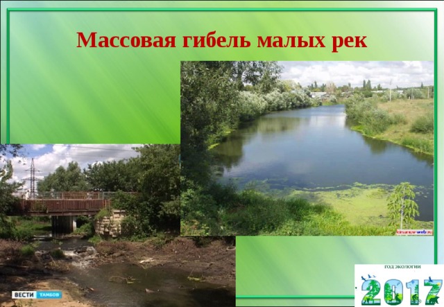 Массовая гибель малых рек 