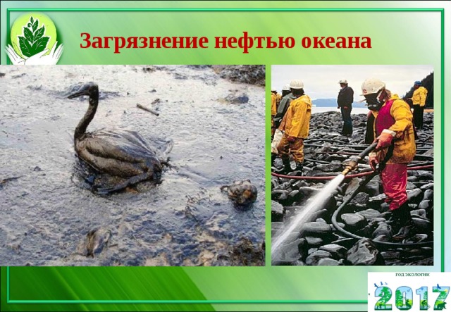 Загрязнение нефтью океана 