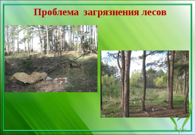 Проблема загрязнения лесов 