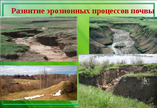 Развитие эрозионных процессов почвы 