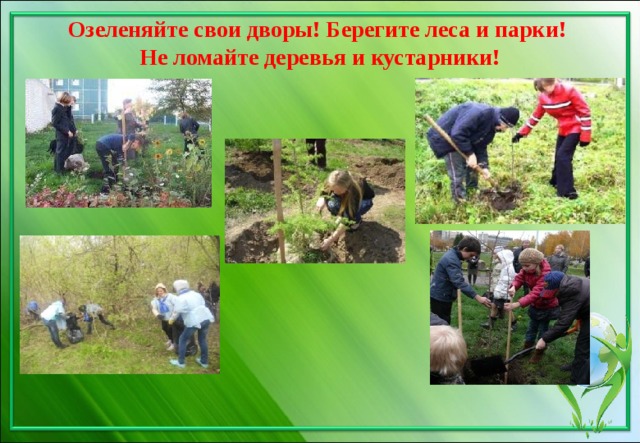 Озеленяйте свои дворы! Берегите леса и парки!   Не ломайте деревья и кустарники! 