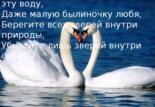 Берегите эту землю, берегите эту воду, Даже малую былиночку любя, Берегите всех зверей внутри природы, Убивайте лишь зверей внутри себя! 