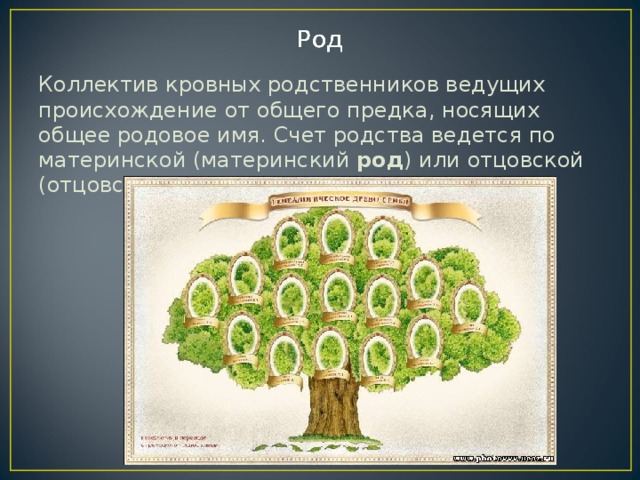 Коллектив кровных родственников ведущих происхождение от общего предка, носящих общее родовое имя. Счет родства ведется по материнской (материнский  род ) или отцовской (отцовский род ) линии. 