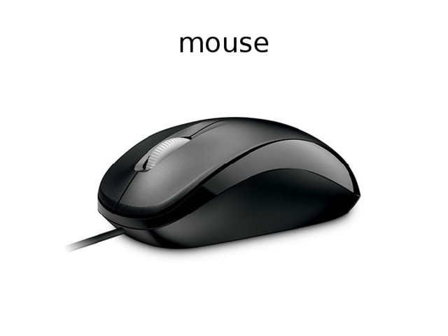 mouse 