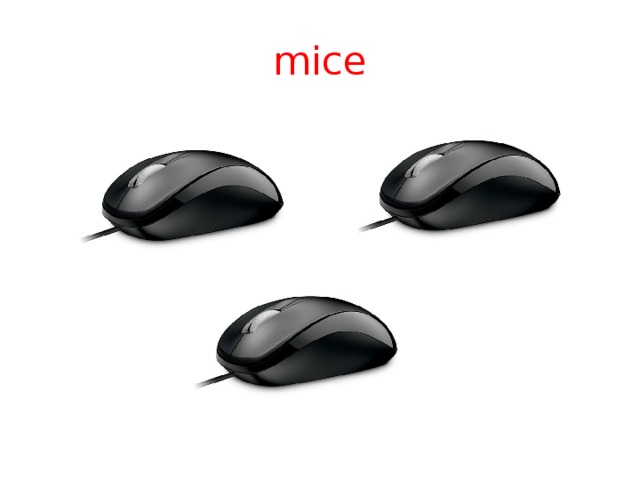 mice 