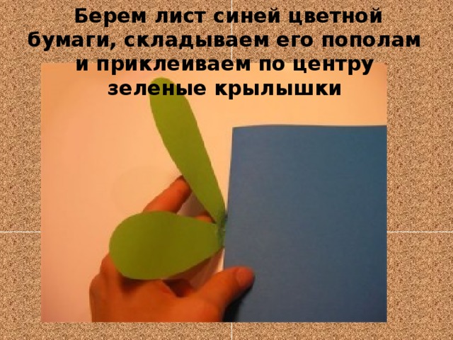   Берем лист синей цветной бумаги, складываем его пополам и приклеиваем по центру зеленые крылышки 