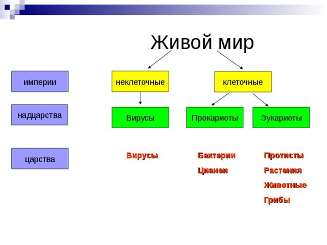 Царства клеток. Клеточные формы жизни Надцарство эукариот. Клеточная и неклеточная формы жизни Империя. Формы жизни клеточные и неклеточные таблица. Империя клеточные и неклеточные схема.