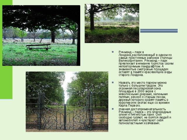 Ричмонд – парк в Лондоне,расположенный в одном из самых престижных районов столицы Великобритании. Ричмонд – парк привлекает внимание туристов своим неповторимым ландшафтом. А знаменитые смотровые площадки оставят в памяти красивейшие виды старого Лондона.  Назвать это место парком можно только с большим трудом. Это огромная лесопарковая зона площадью в 2000 акров с живописными озерами, зелеными полями, речкой и старым лесом, деревья которого хранят память о королевских охотах еще со времен Карла Первого. главная достопримечательность Ричмонд – парка – это благородные олени и пятнистые лани. Они свободно гуляют, не боятся людей и автомобилей и чувствуют себя полновластными хозяевами.