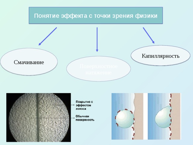 Понятие эффекта с точки зрения физики Капиллярность Смачивание Поверхностное натяжение 