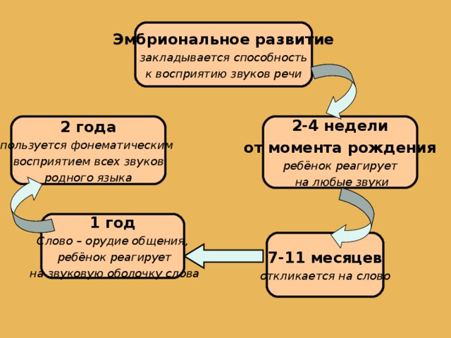 Презентация развитие фонематических процессов