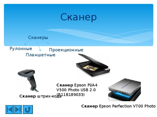 Сканер презентация по информатике