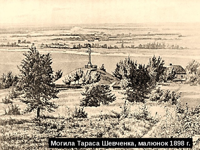 Могила Тараса Шевченка, малюнок 1898 г. 