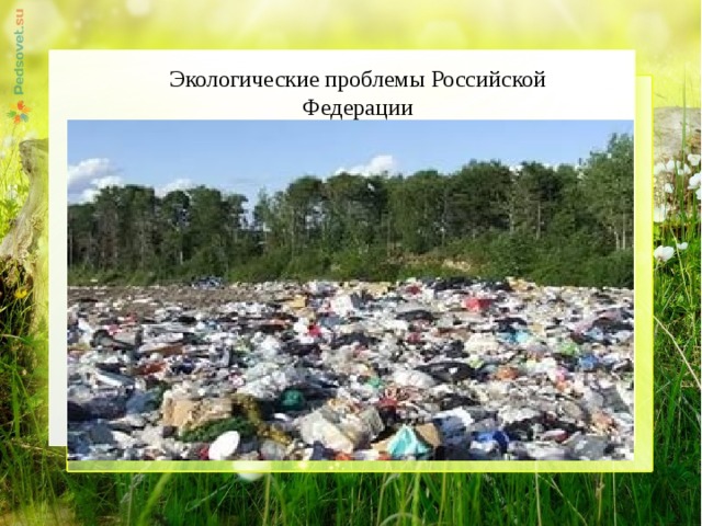 Экологические проблемы России. Экологическая проблемв Росси.