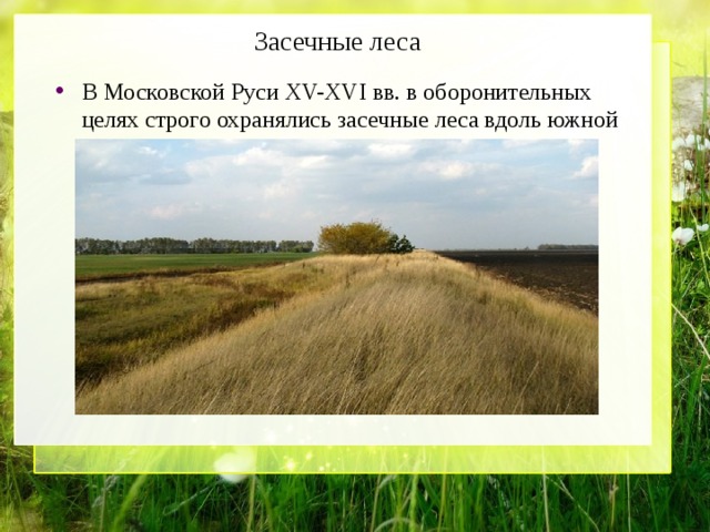 Засечные леса В Московской Руси XV-XVI вв. в оборонительных целях строго охранялись засечные леса вдоль южной границы государства. 
