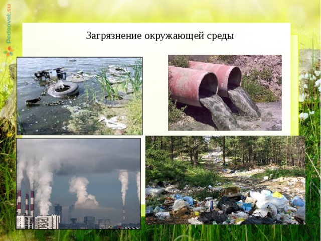 Загрязнение окружающей среды 