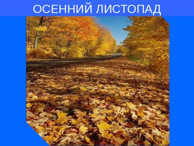 ОСЕННИЙ ЛИСТОПАД