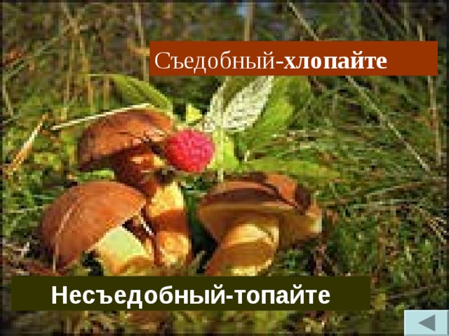 Съедобный- хлопайте Несъедобный-топайте