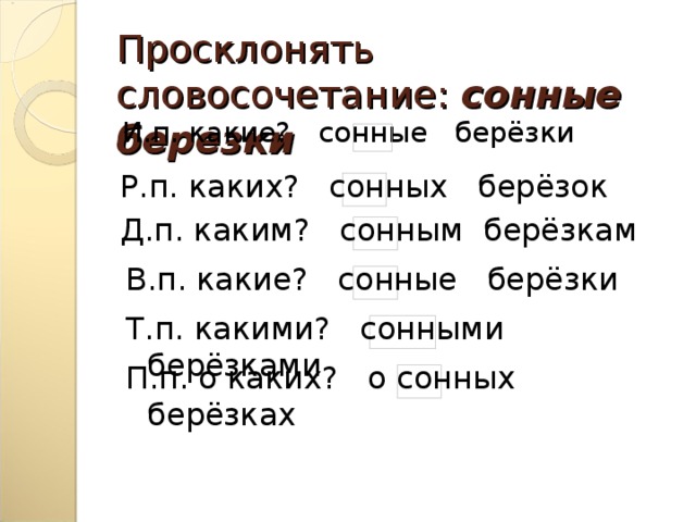 Просклонять по падежам слово береза