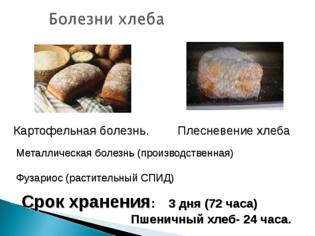 Картофельная болезнь.  Плесневение хлеба Металлическая болезнь (производственная) Фузариос (растительный СПИД) Срок хранения : 3 дня (72 часа)  Пшеничный хлеб- 24 часа. 