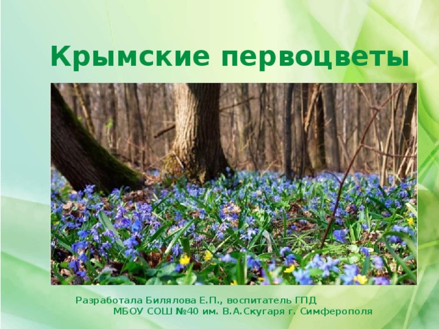 Крымские первоцветы презентация