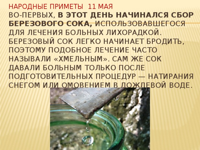 Березосок 11 мая картинки