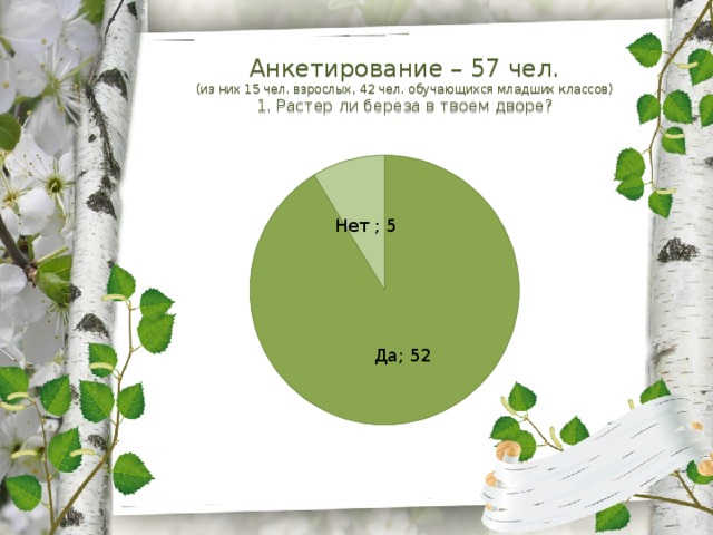 Анкетирование – 57 чел. (из них 15 чел. взрослых, 42 чел. обучающихся младших классов) 1. Растер ли береза в твоем дворе? 