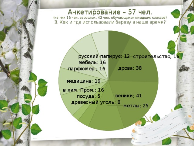 Анкетирование – 57 чел. (из них 15 чел. взрослых, 42 чел. обучающихся младших классов) 3. Как и где использовали березу в наше время? 