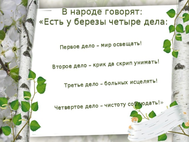 Первое дело – мир освещать! Второе дело – крик да скрип унимать! Третье дело – больных исцелять! Четвертое дело – чистоту соблюдать!» В народе говорят: «Есть у березы четыре дела: 
