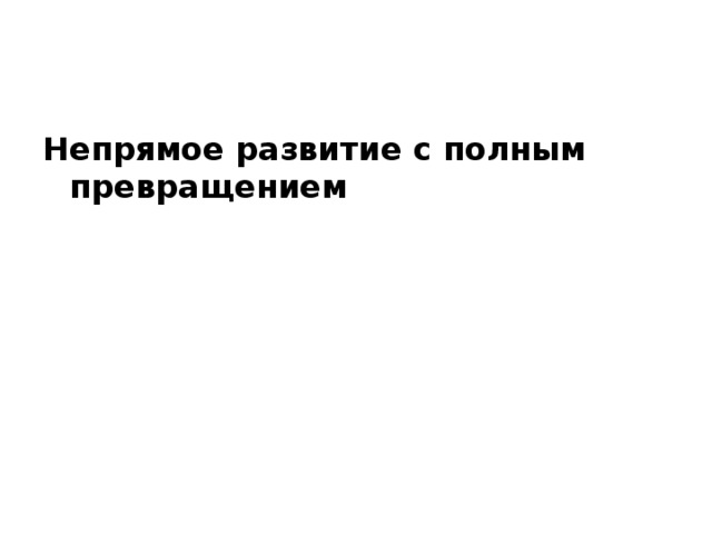 Непрямое развитие с полным превращением 