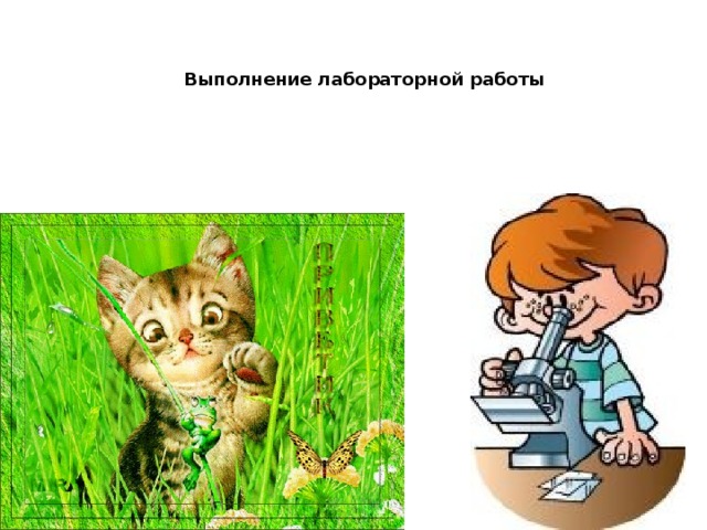 Выполнение лабораторной работы 