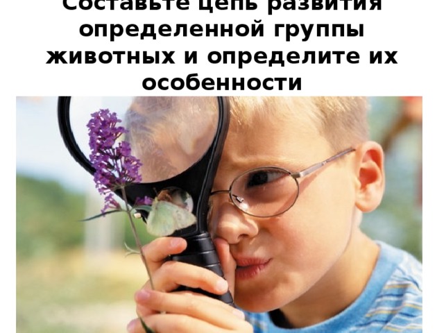 Составьте цепь развития определенной группы животных и определите их особенности 