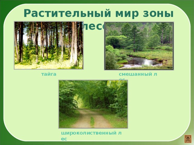 Плакат природные зоны. Рамка по окружающему миру природные зоны. Природные зоны России. Плакат. Интерактивный плакат окружающий мир. Тест по окружающему миру по природным зонам.