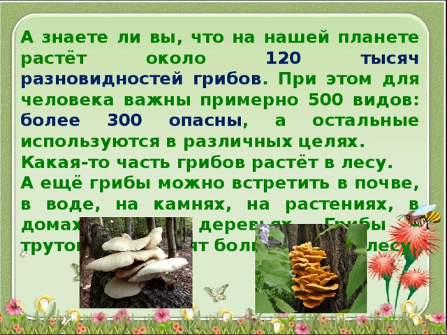 Презентация окружающий мир грибы 3 класс окружающий мир презентация