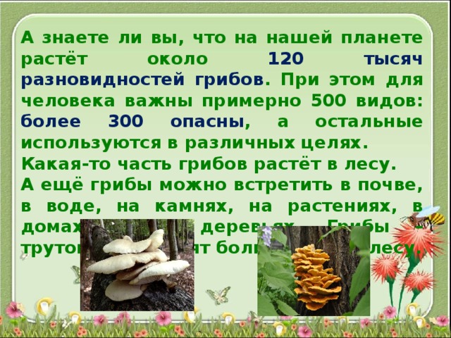 А знаете ли вы, что на нашей планете растёт около 120 тысяч разновидностей грибов . При этом для человека важны примерно 500 видов: более 300 опасны , а остальные используются в различных целях. Какая-то часть грибов растёт в лесу. А ещё грибы можно встретить в почве, в воде, на камнях, на растениях, в домах, и на деревьях. Грибы – трутовики наносят большой вред лесу. 