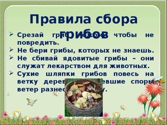 Правила сбора грибов Срезай гриб ножом, чтобы не повредить. Не бери грибы, которых не знаешь. Не сбивай ядовитые грибы – они служат лекарством для животных. Сухие шляпки грибов повесь на ветку дерева – созревшие споры ветер разнесёт по лесу. 