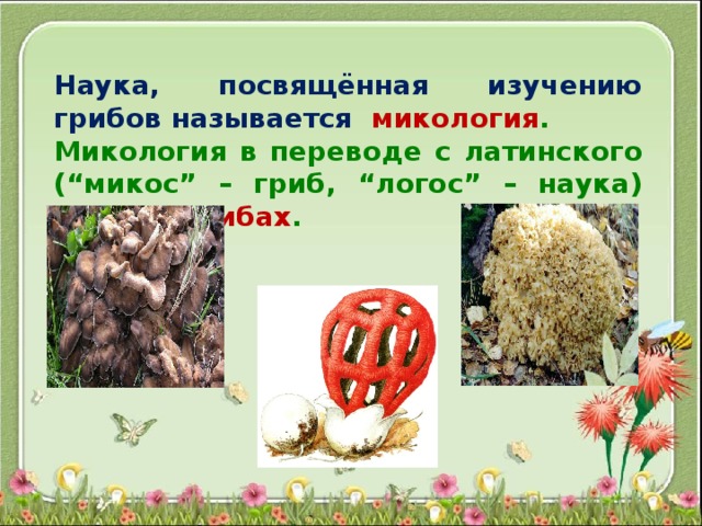 Наука, посвящённая изучению грибов называется микология . Микология в переводе с латинского (“микос” – гриб, “логос” – наука) наука о грибах . 
